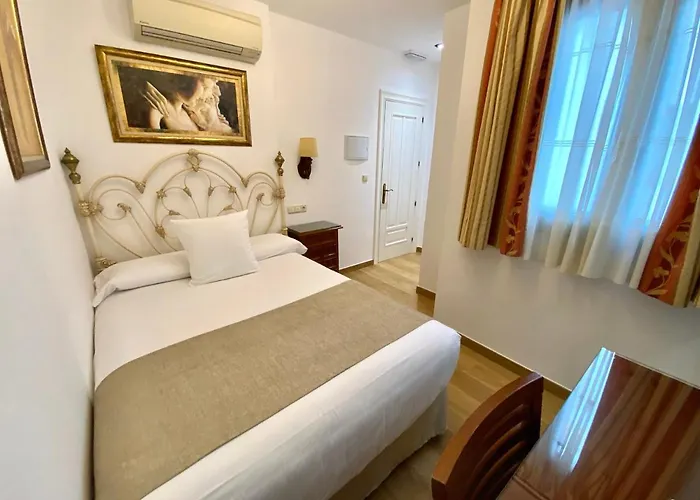 Rodri (adults Only) Grenade