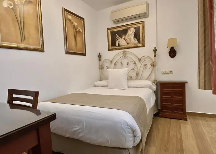 Rodri (adults Only) 2*