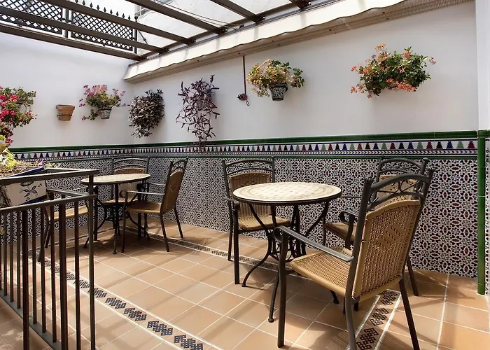 Rodri (adults Only) 2*